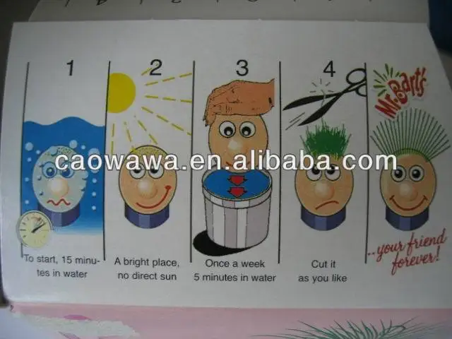 visio plantes 011[1]