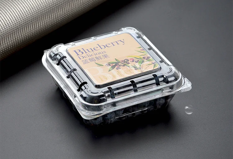 Blueberry box (4).png