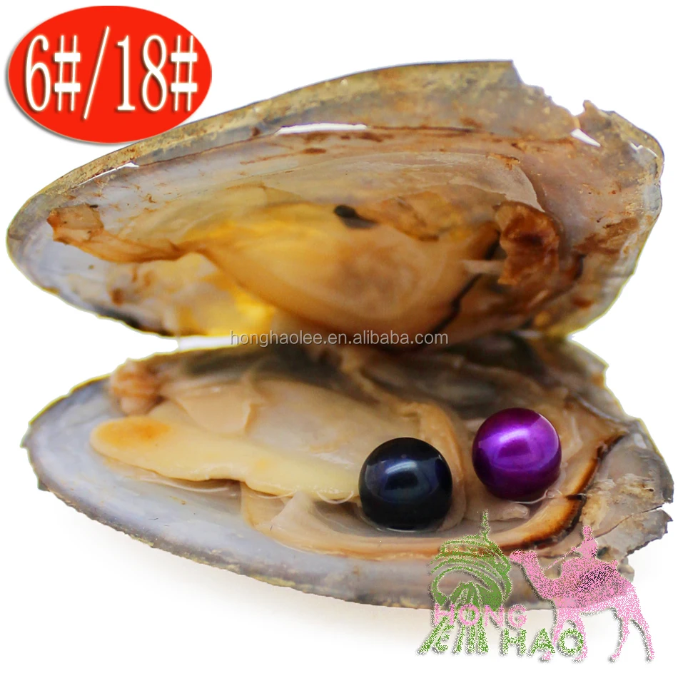 

Pearl oyster shell hopes vacuum packing 6-7mm / 7-8mm28 kinds of beautiful colors 4A round natural freshwater pearls
