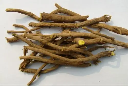 health supplement scutellaria baicalensis root extract