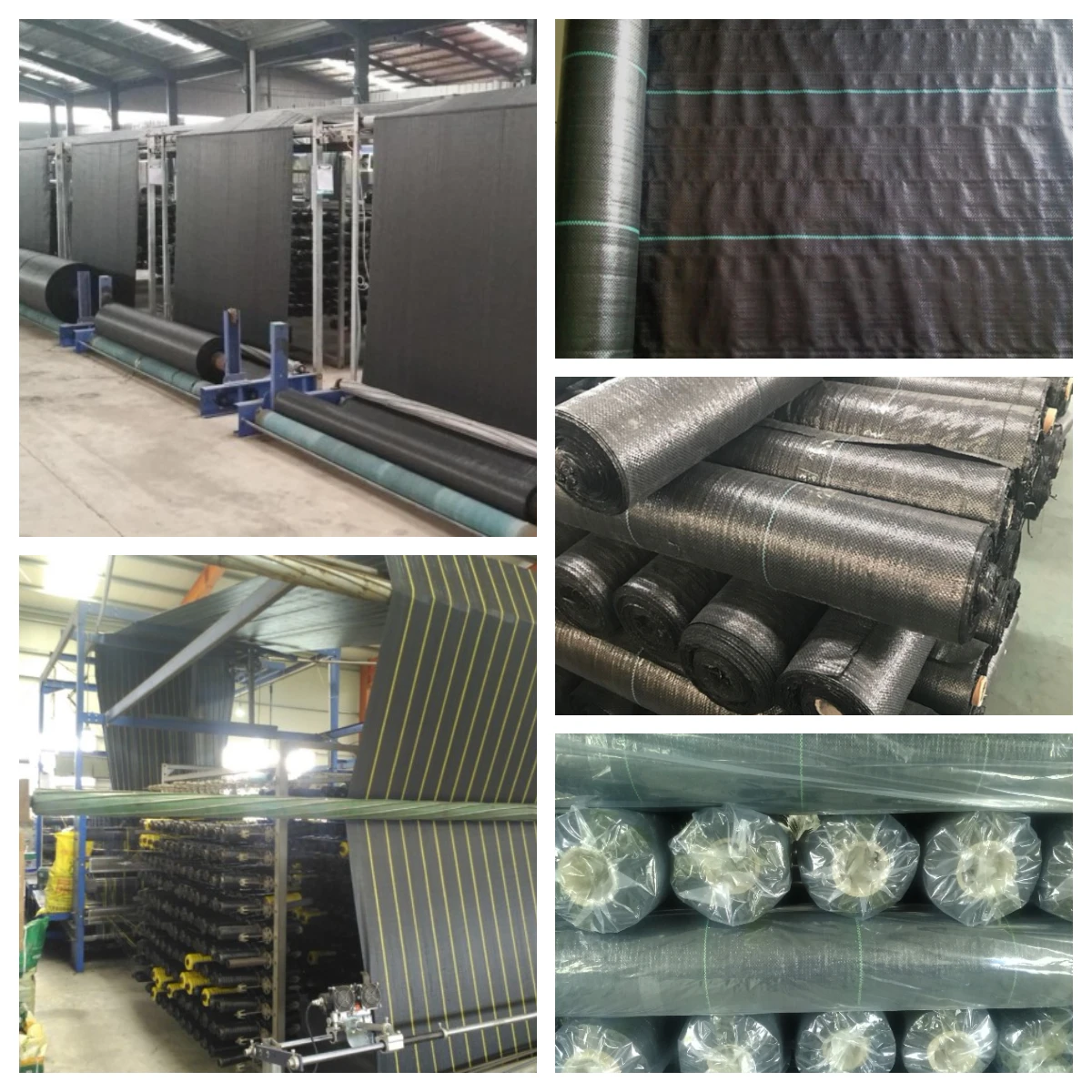 Convenient and Eco-friendly Plastic Weed Mat for stop grass growing