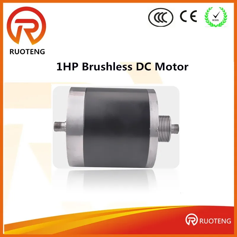 Bldc Motor With Hall Effect Position Sensors Buy Bldc Motor With Hall