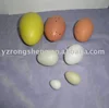 Blown Easter/Christmas Plastic Goose Eggs