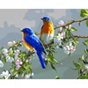 Frame Birds DIY Painting By Numbers Home Decor Wall Painting Coloring Paint On Canvas