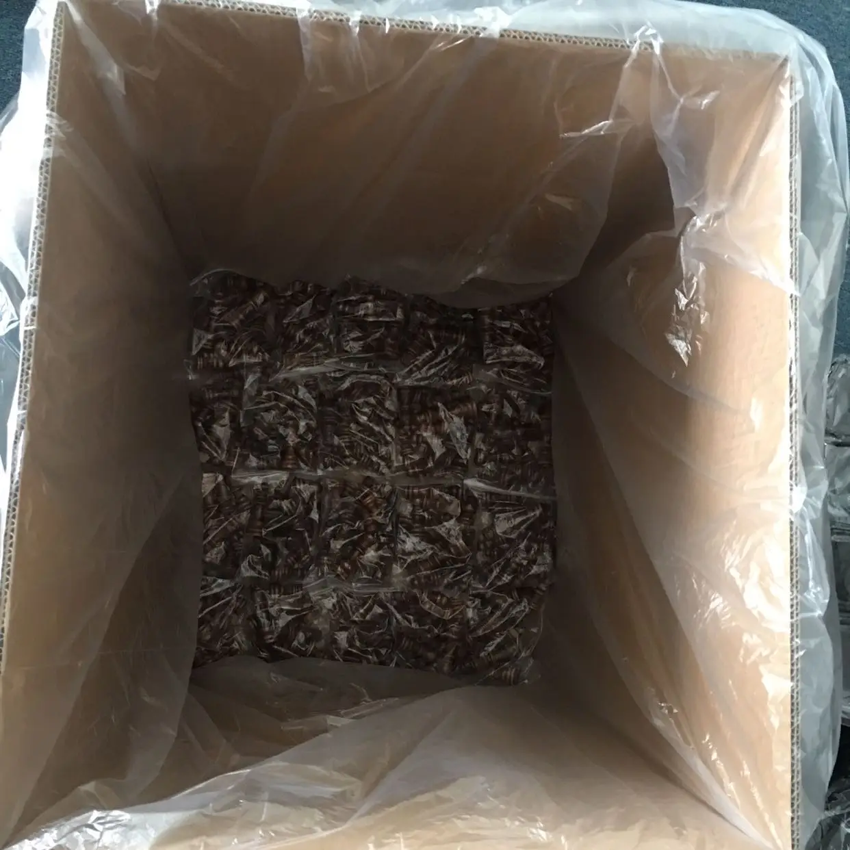 3inches pieces -3.jpg