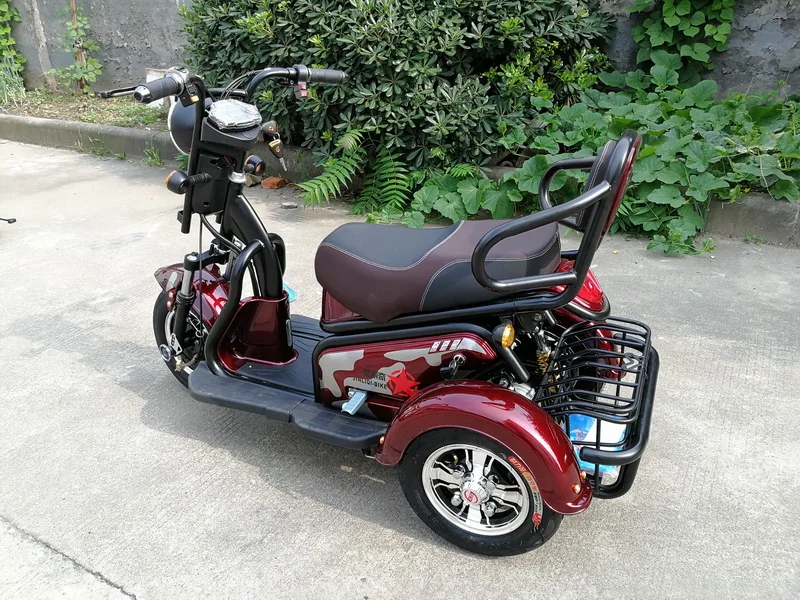 China Factory Direct Supply Good Quality 48v/60v 500w / 750w Electric