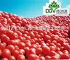 whole sale quantity 36-38brix tomato paste