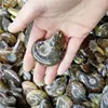 Wholesale polishing Pure natural and high quality Jade the screw