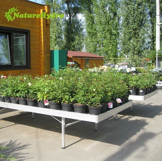 Whole Agricultural Greenhouse Orchid Plant Nursery Equipment Whole Agricultural Greenhouse