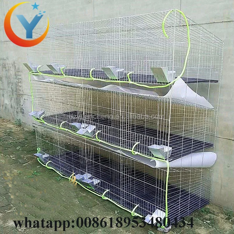 H Type Large Scale Farming Indoor Rabbit Cage And Wholesale Rabbit