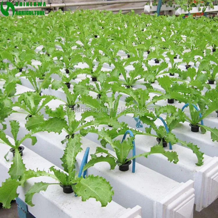 
Commercial PVC Hydroponic Grow Systems For Sale 
