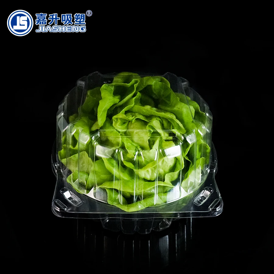 Clear Plastic Lettuce Container Buy Lettuce Container,Plastic Lettuce Clamshell,Vacuum Formed