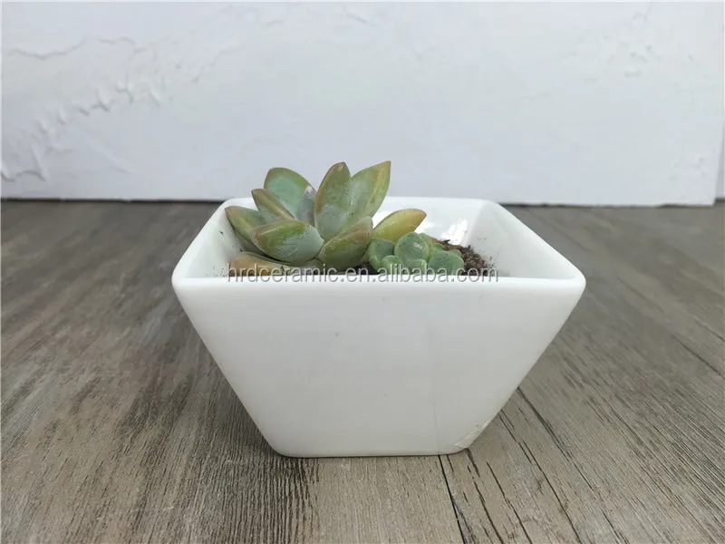 30x  Square Mini Cube White Ceramic Plant Pot Succulent Home Office Decor 5cm SY 
