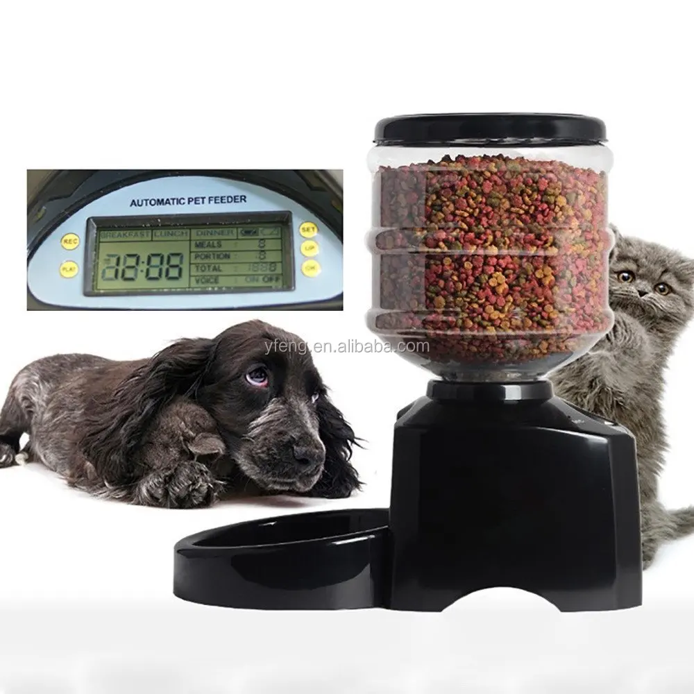 Timed Dog Feeder Timed Dog Feeder Suppliers And Manufacturers At