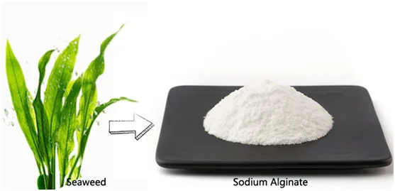 它是一种天然多糖,具有稳定性,溶解度, 作为辅