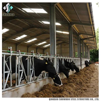 Large Span Steel Shed Prefabricated Cow Barns For Sale Buy