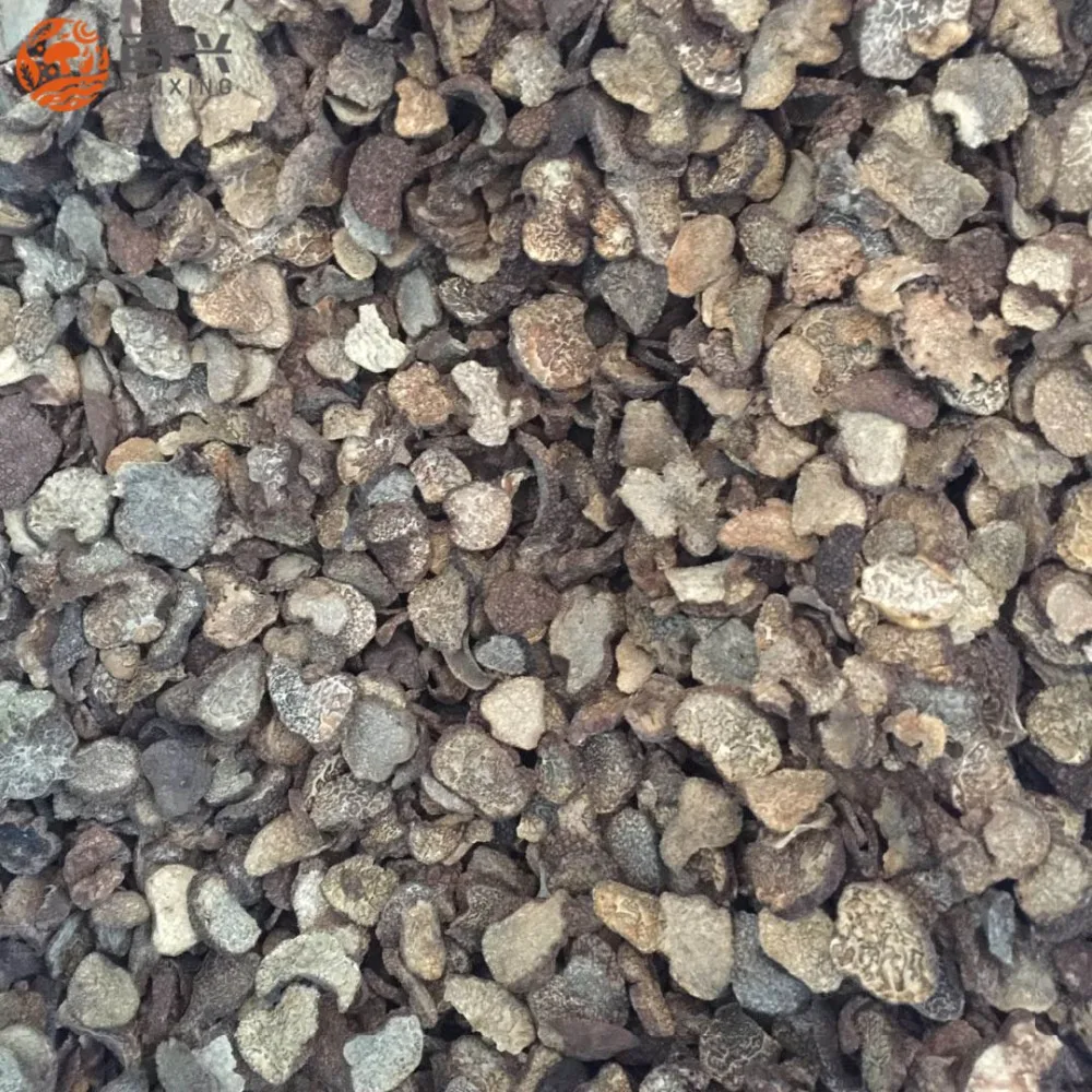 
Chinese best price frozen truffle (Tuber indicum) 
