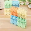 Most Popular High-Quality 16 pcs clothes clips plastic clothes drying pegs