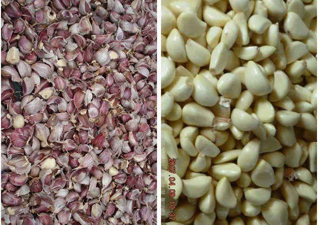 garlic peeling machine.png