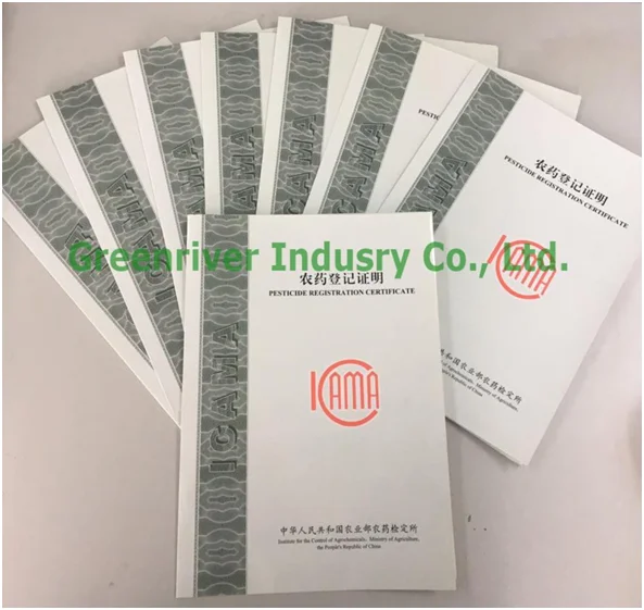 paste-pic-dp_uuid_yd8x6