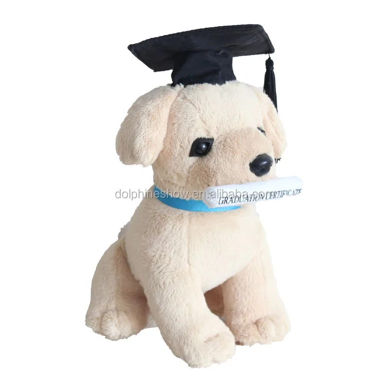 graduation puppy plush