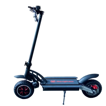 Two Wheels Adult Electric Scooter - Buy 