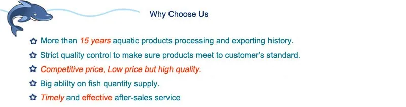 why choose us