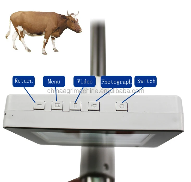 Goat sheep visual insemination gun artificial insemination equipment