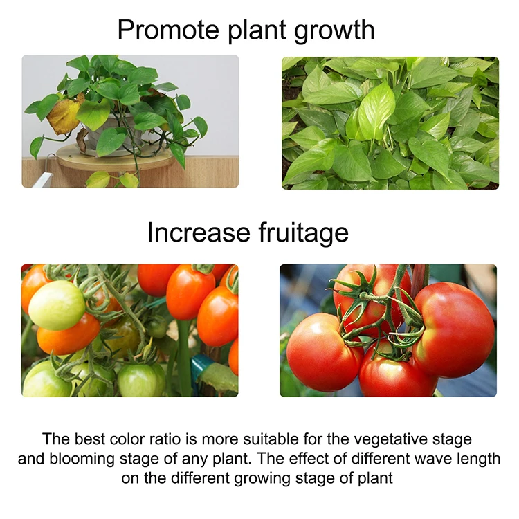 Amazon top sale Cre e CXB3590  cob led  grow light for agricultural greenhouse