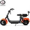 Gaea mountain bike electric fat bicycle tire citycoco electric scooter 1000w