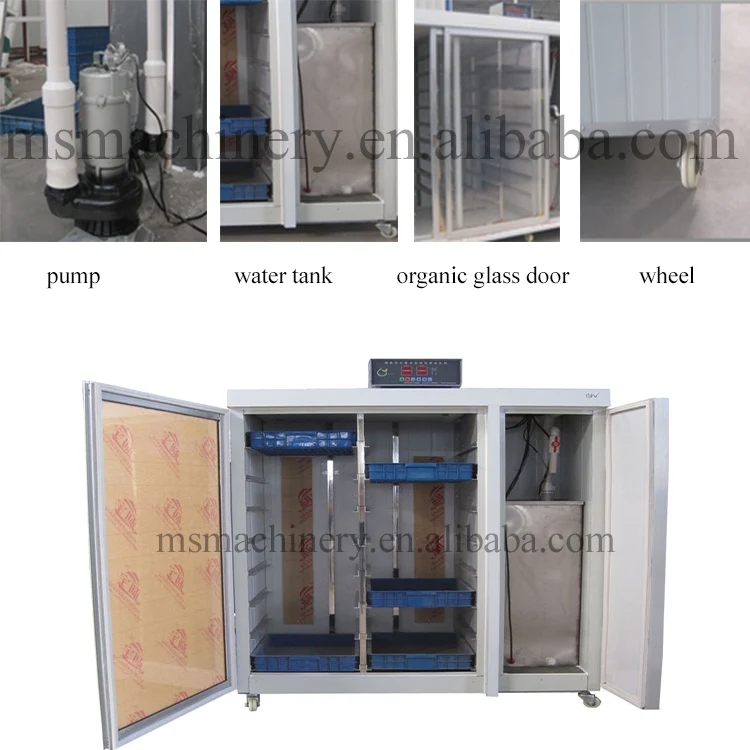 Garlic sprout machine