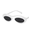 NEW Year 2019 Oval style sunglasses women's sunglasses Vintage hiphop UV400 plastic sun glasses popular sunglasses N196 luxury