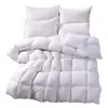 Lightweight Down Comforter - Luxury 90% Down Duvet Insert with Super Soft Shell, Hotel Quality Comforter and Hypoallergenic