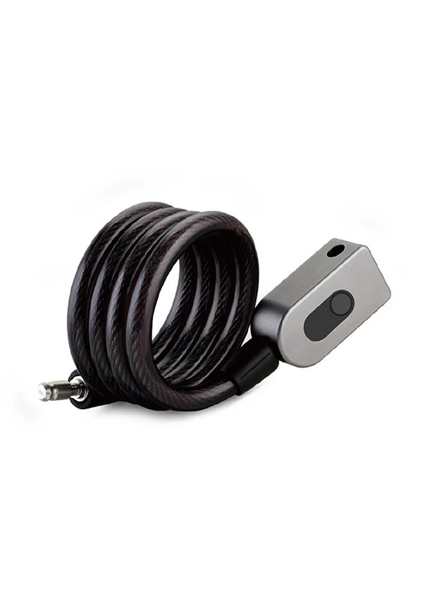GG10F smart lock.jpg