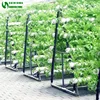 Greenhouse Indoor Hydroponic Channels Set