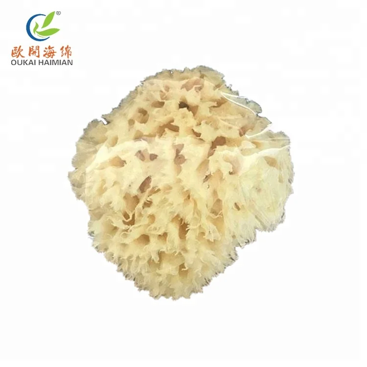 

Natural Sea Sponge Decolorization Honeycomb ,Shape Bath Sponge From Greece, Bleaching color