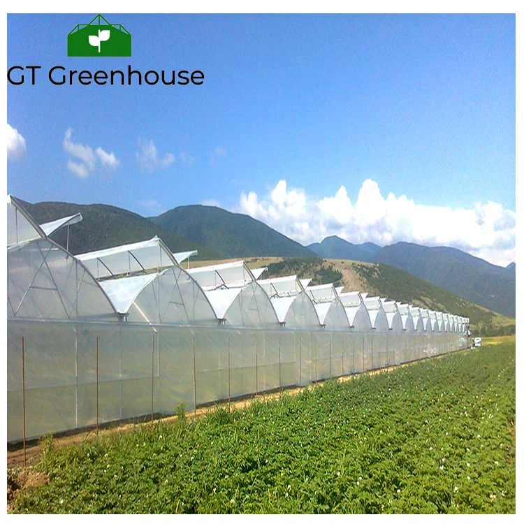 automated greenhouse.png