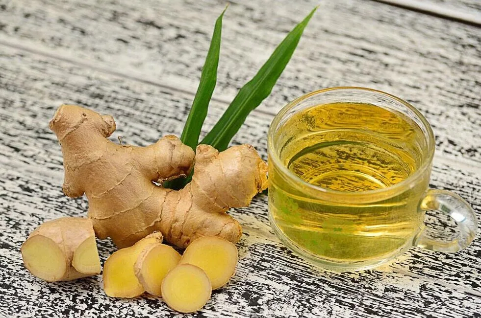 
Certified Manufacturer Ginger oleoresin/ginger oil plant extract 
