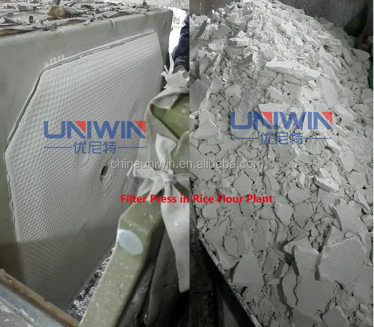 Rice Flour Plant  .jpg