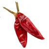 DRY RED SWEET PEPPER