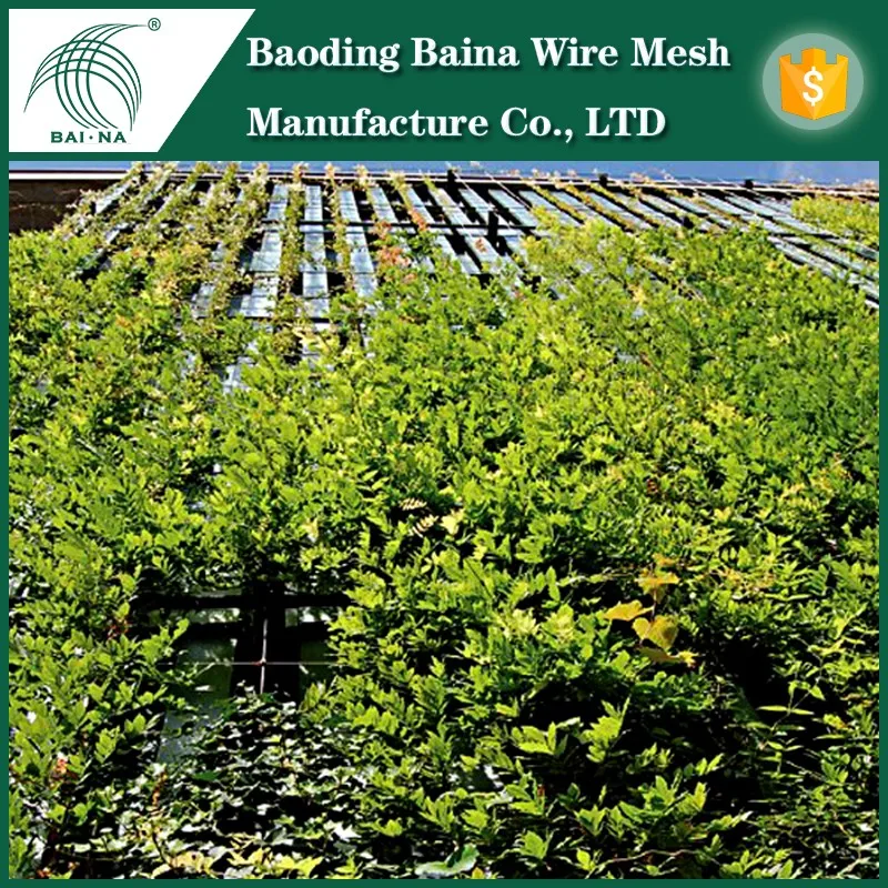 Wire Mesh For Climbing Plants Buy Mesh Type Wire Plant,Wire Mesh