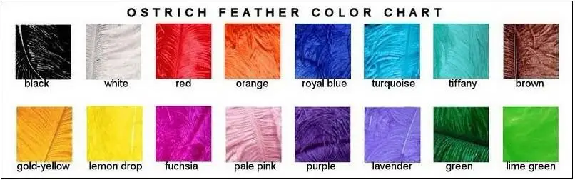 color chart.jpg
