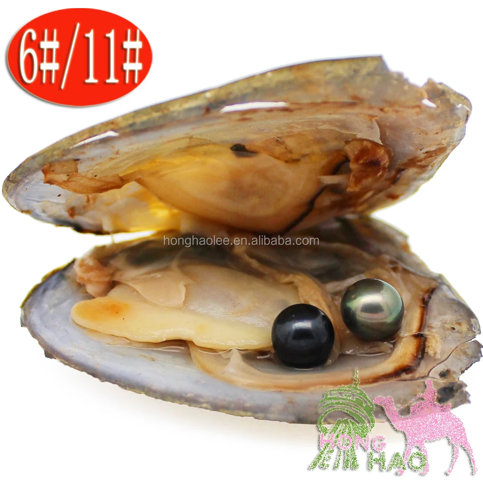 

Jewelry gifts surprise jewelry 6-7mm round natural freshwater aquaculture love pearl oyster 2pc vacuum bag mussel shell oyster