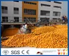 Industrial lemon/orange/citrus juice production/processing plant/line