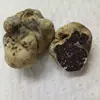 /product-detail/chinese-fresh-wild-white-truffles-mushrooms-price-60578173143.html