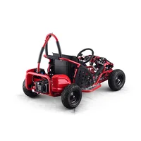 

free shipping Kid children Single Seat Electric Buggy Motorized Go Kart Business for Sale