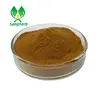 China manufacturer Phyllanthus emblica extract powder of Bottom Price