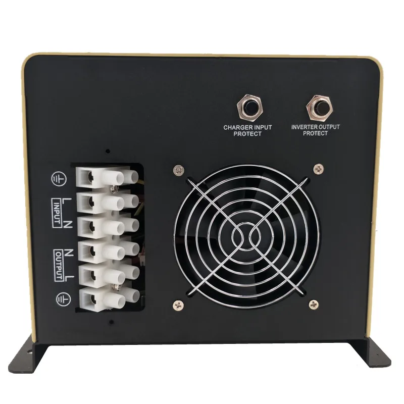 1000w (5).jpg