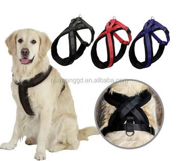 dog body belt