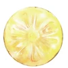 Manufacturer Handmade Gift Custom Colourful Large Fruit Sticky Notes